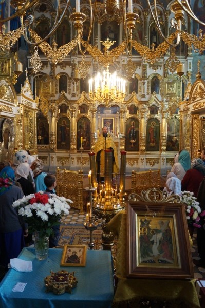 Новый рисунокDSC047773.JPG
