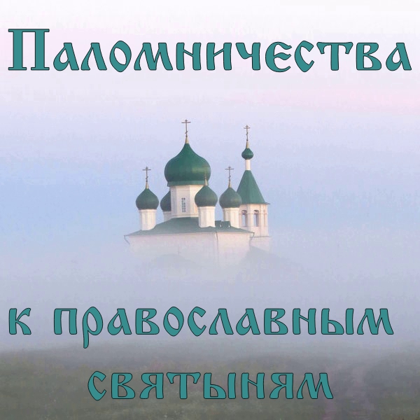 446484.jpg
