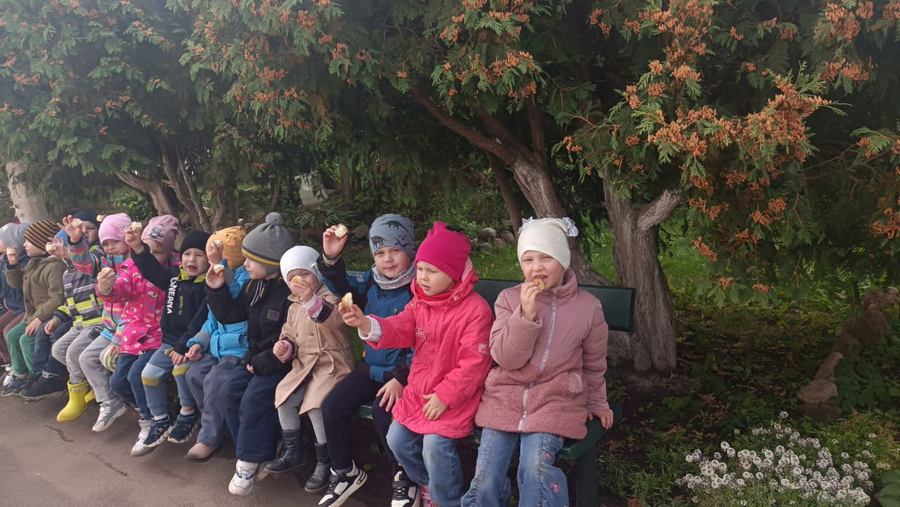 0KRsECY_quU.jpg